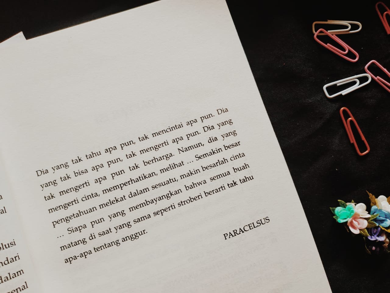 “Seni Mencintai” — Erich Fromm Mencintai Adalah Sebuah