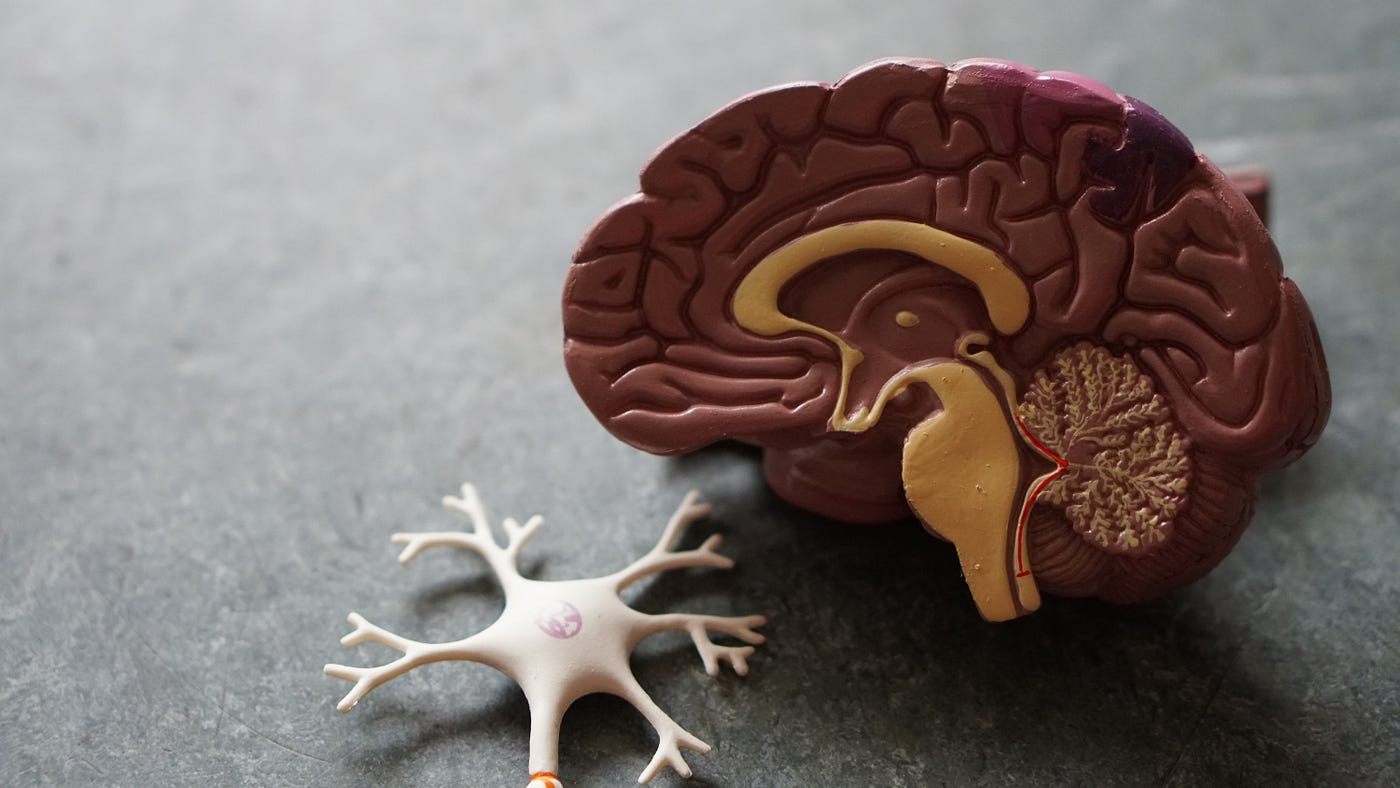 Negative Effects of Video Games on the Brain Dopamine & Brain Waves Negative Effects of Video Games on the Brain Dopamine & Brain Waves