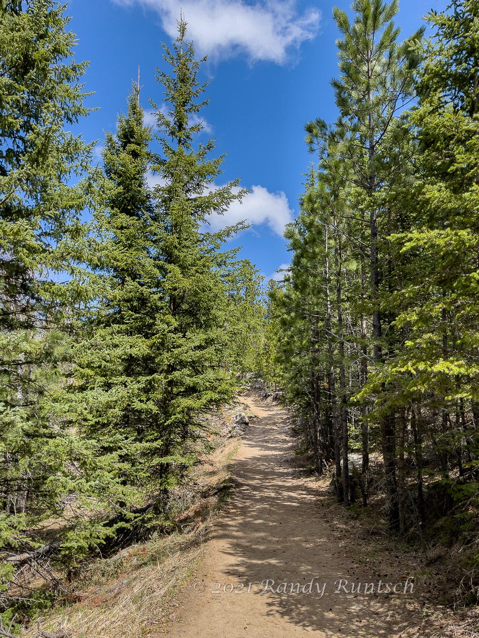 Hiking to Black Elk Peak in the Black Hills by Randy Runtsch World
