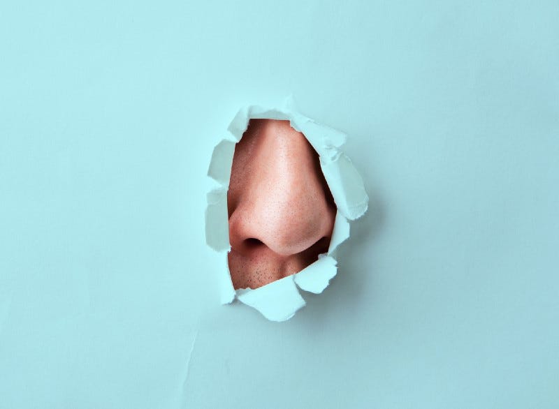 Sniffing as Social Act by Elliott M. Hoey sci five University of