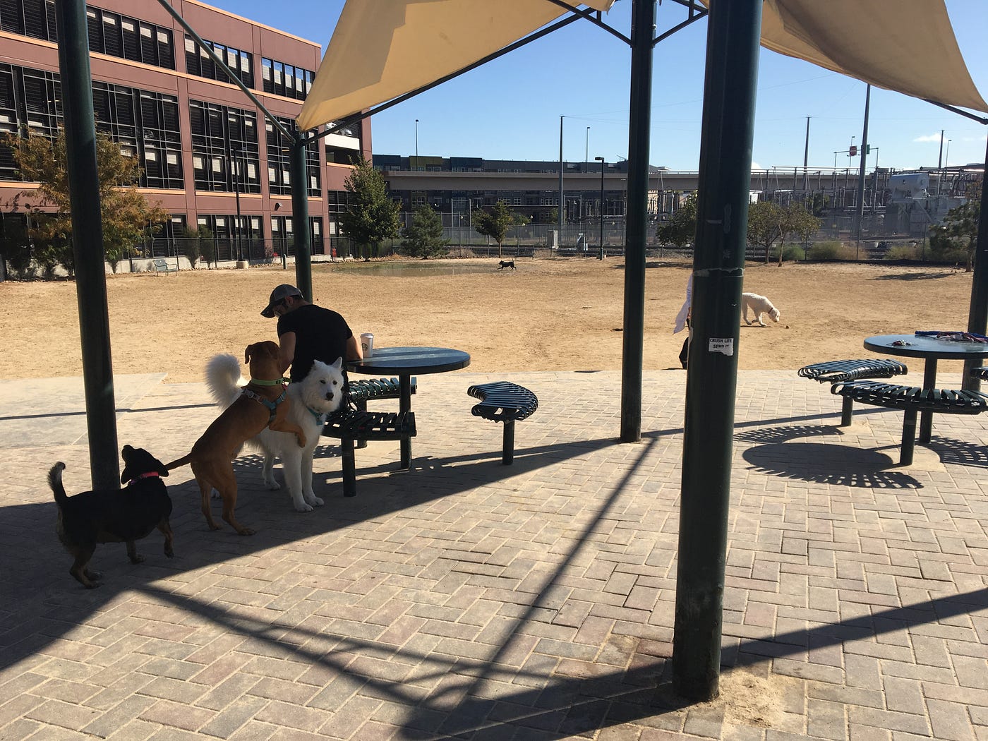 The Design of a Dog Park RE Write Medium