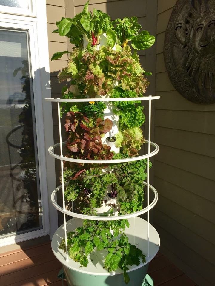 Tower Garden by Juice Plus.. I’ve been focusing a lot on food in my