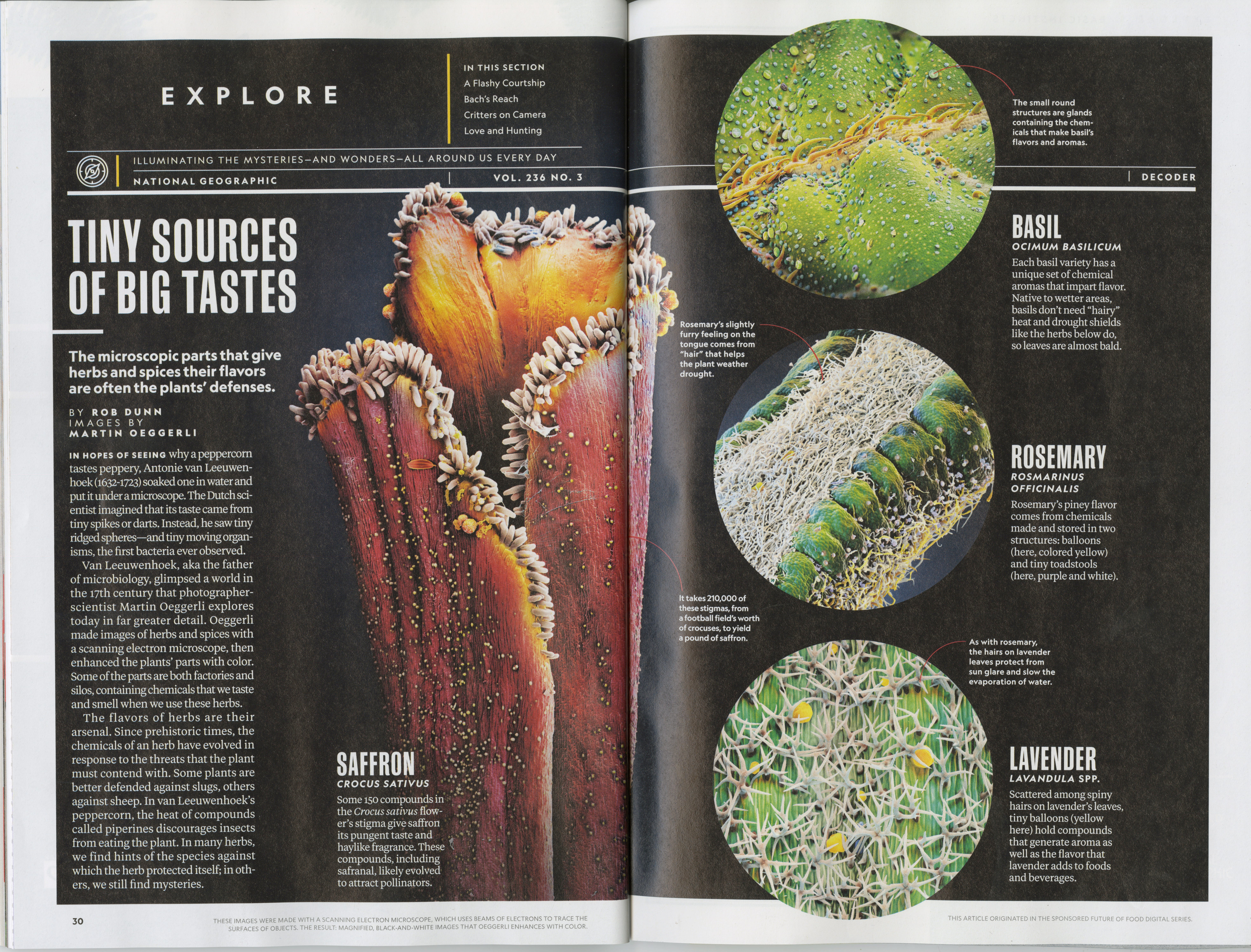 The Design Philosophy of National Geographic by Deklin