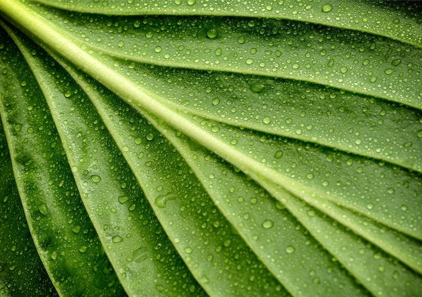 A Guide To The Types of Textures In Visual Design by Leigh Andra