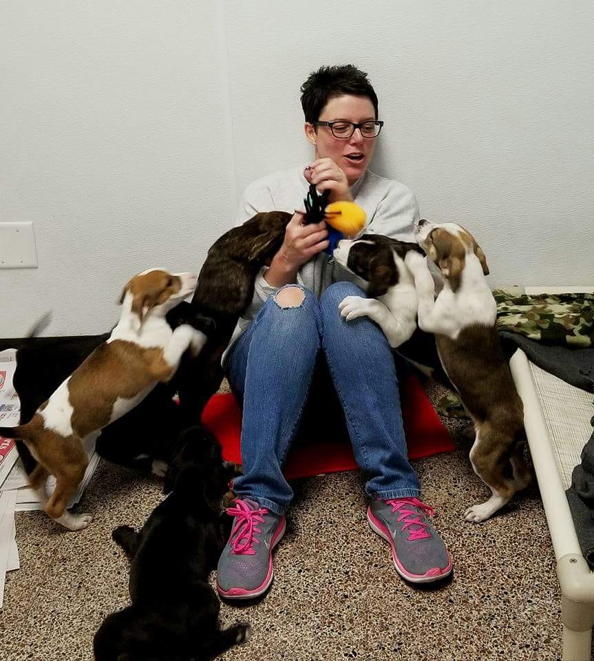 13 Year Old Volunteer Animal Shelter Near Me Animal West