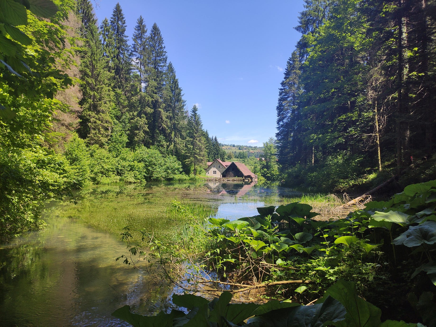 Traventure Gorski Kotar Cogrljevo Jezero Kamacnik Zeleni Vir Vrazji Prolaz Petehovac Spilja Lokvarka Izvor Kupe By Mraskaj Traventure Medium