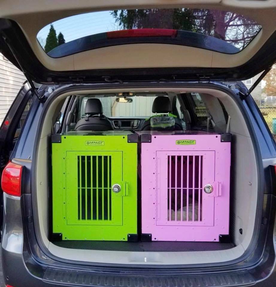 Best Crash Rated Dog Crates at Leticia Berry blog