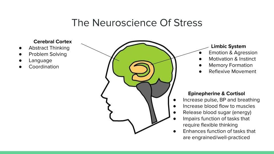 Stress Makes You Stupid (The Neuroscience of Survival
