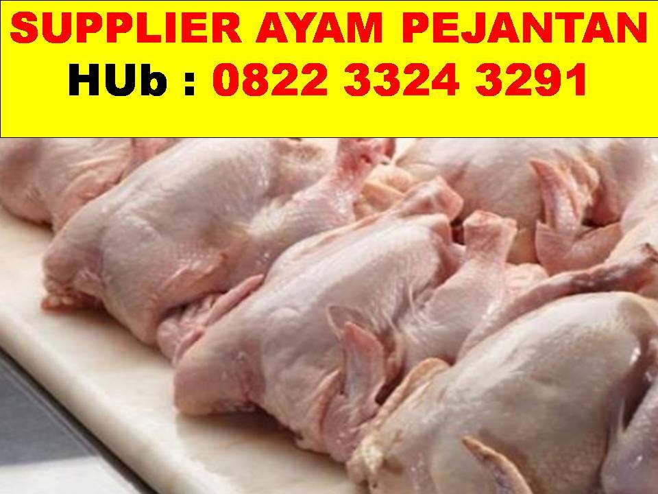 0822 3324 3291, Supplier Ayam Pejantan Surabaya | by 0822 3324 3291,  Supplier Ayam Pejantan Malang | Medium