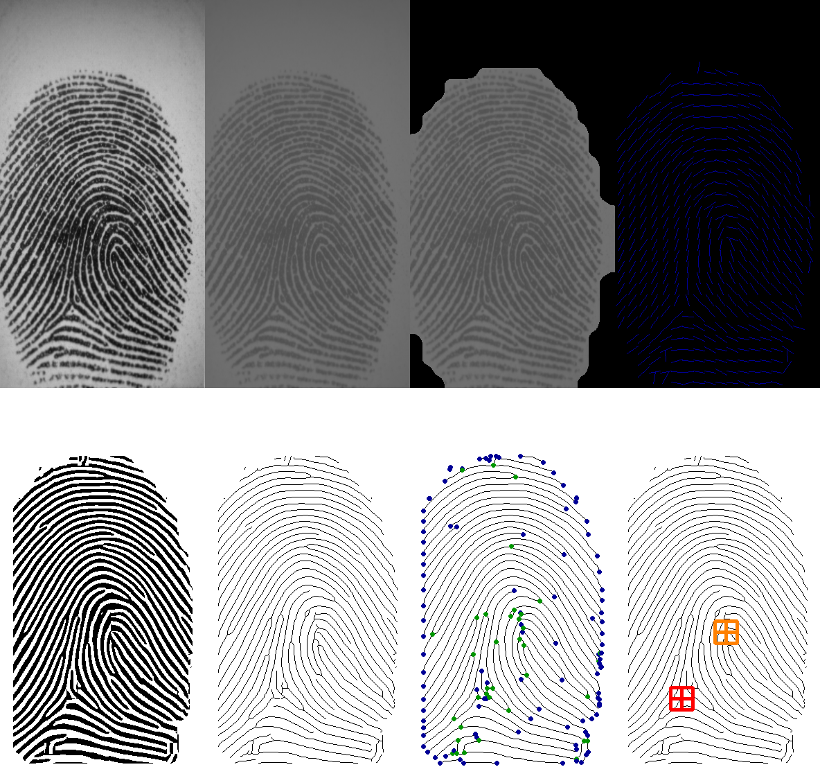 Fingerprint algorithm recognition by Manuel Cuevas Medium