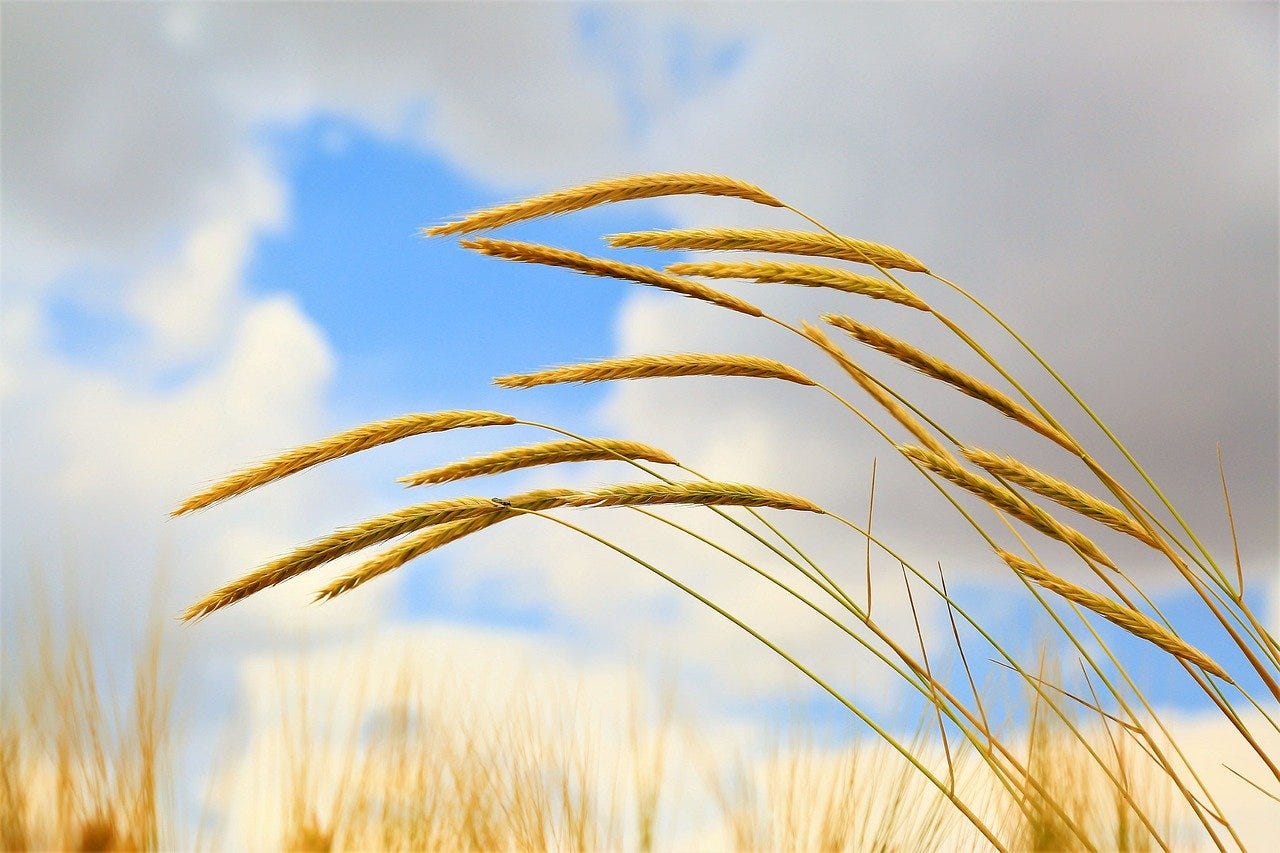 Perfectionism an imperfect strategy for happiness by Nigel Wood Medium