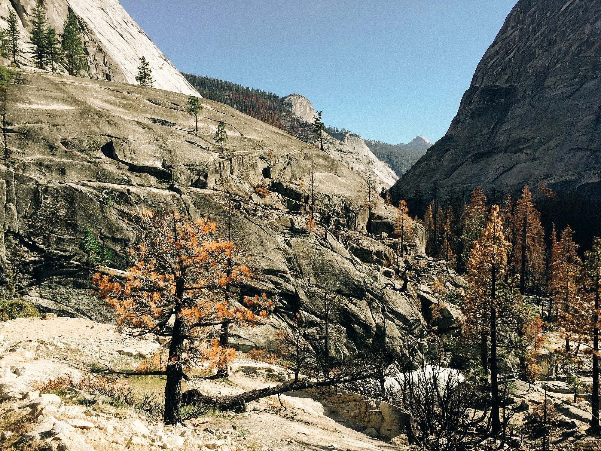 Backpacking Yosemite. My wife and I decided to celebrate our… by Andy