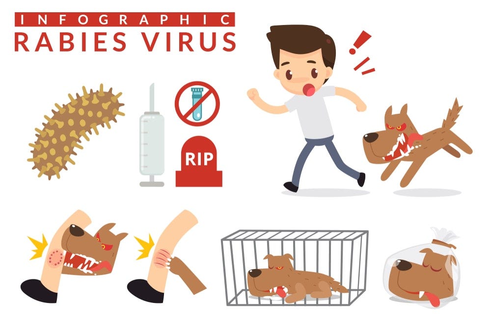 Rabies Symptoms, causes, treatment, and prevention by Healthchanger