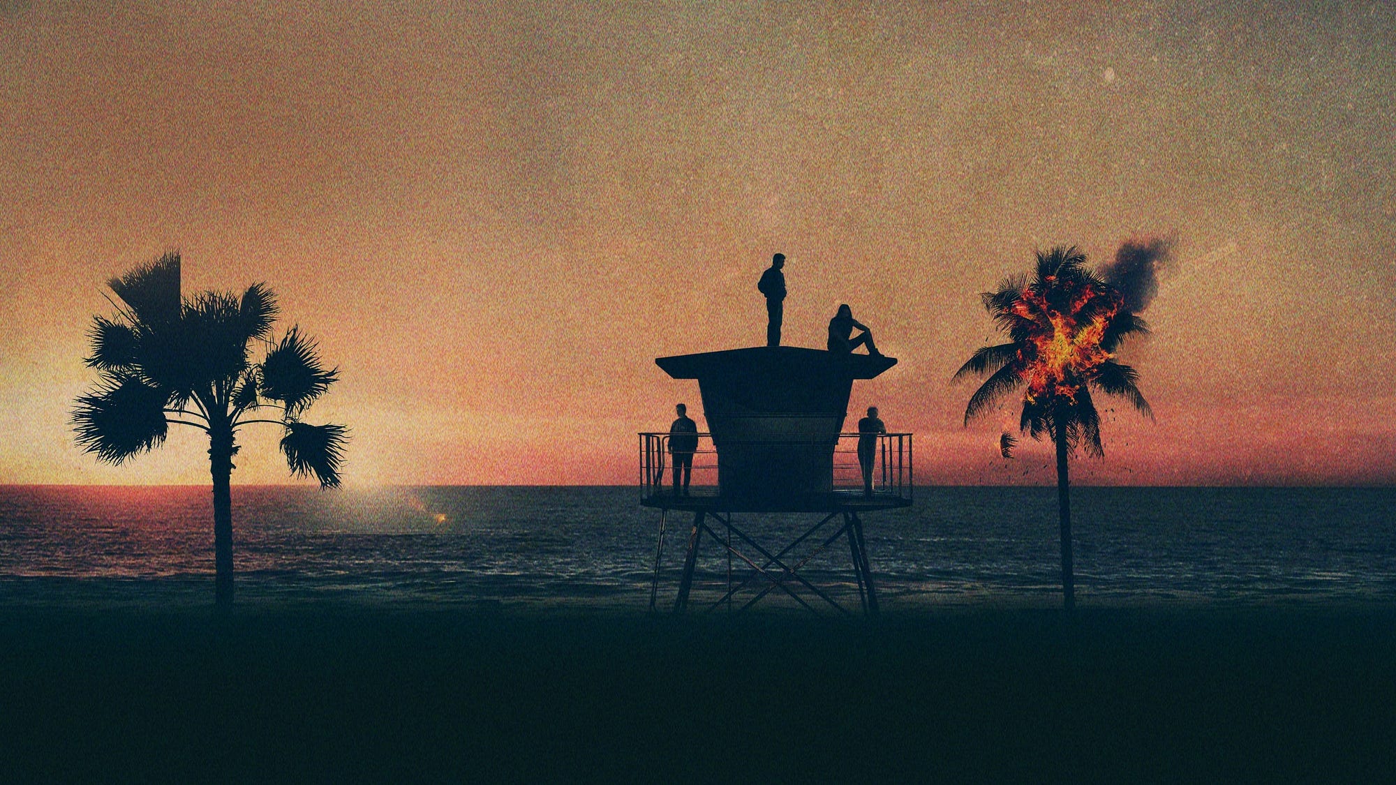 Animal Kingdom — Series 5 Episode 11 (5x11) Full Episode by Animal