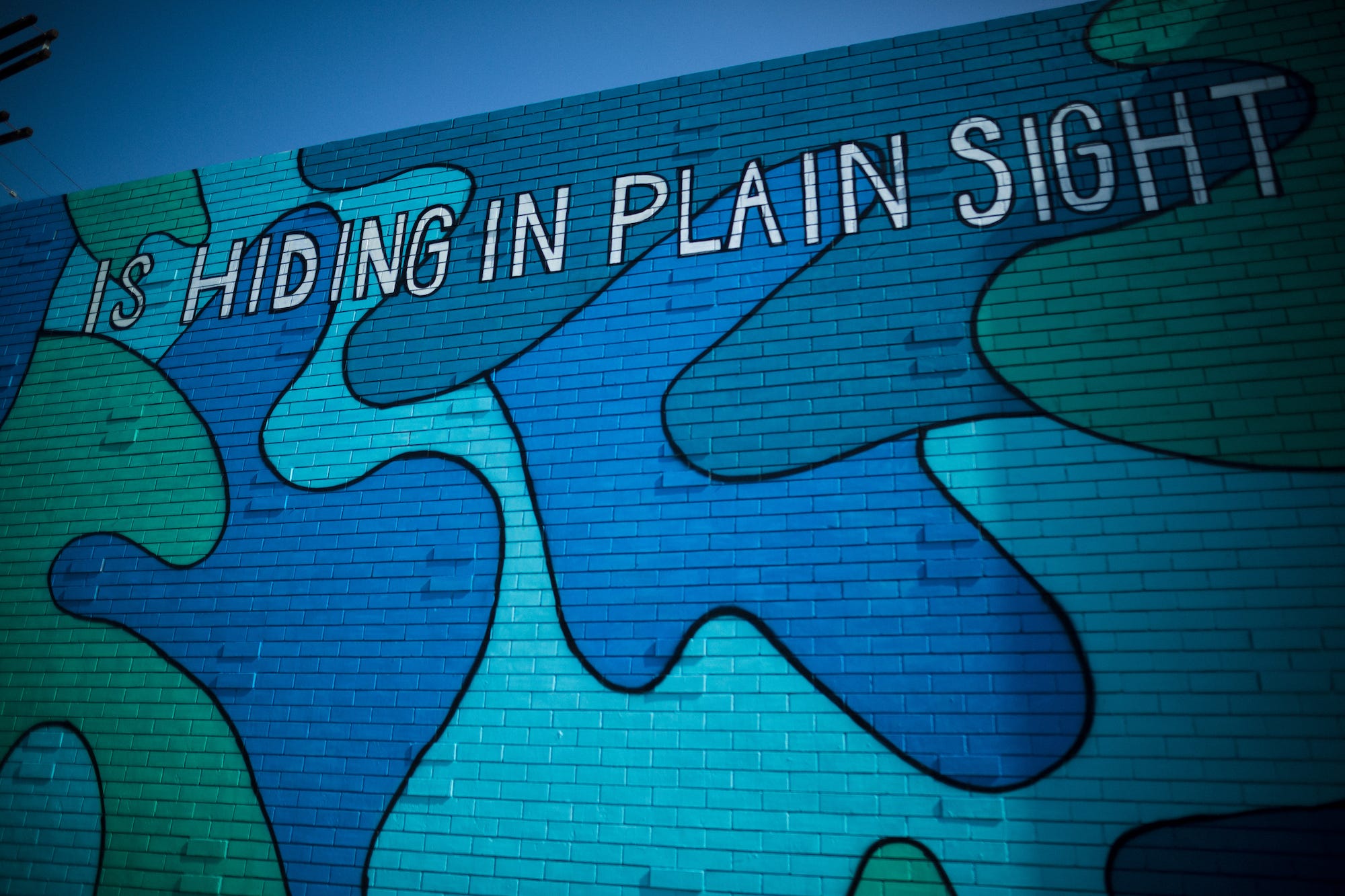 What Do You Think is Hiding in Plain Sight? by Sarah Zurell Medium