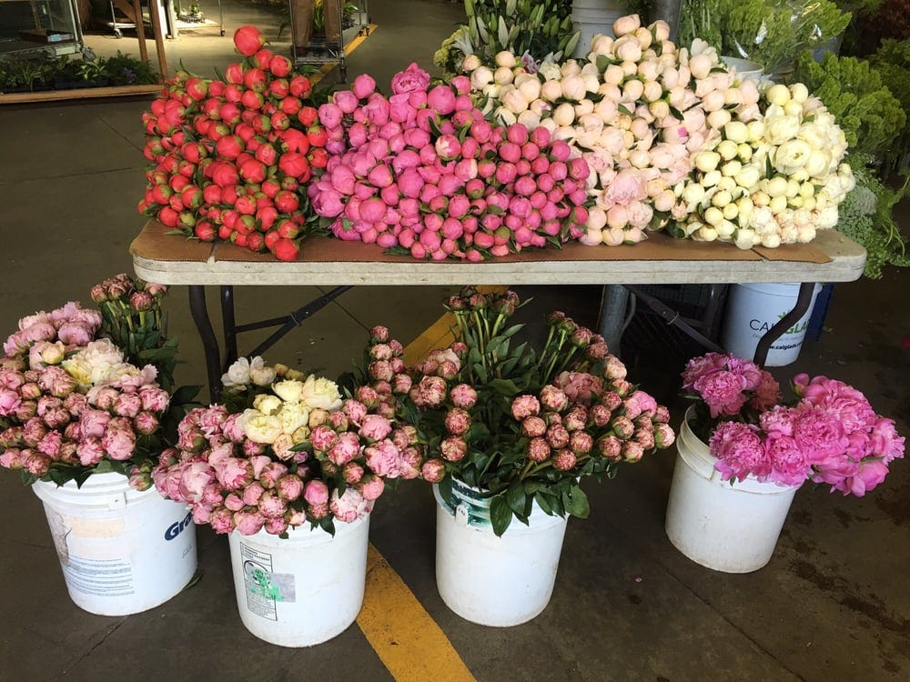 Lilly Hoftijzer Flowers San Francisco Open Order Flowers Online