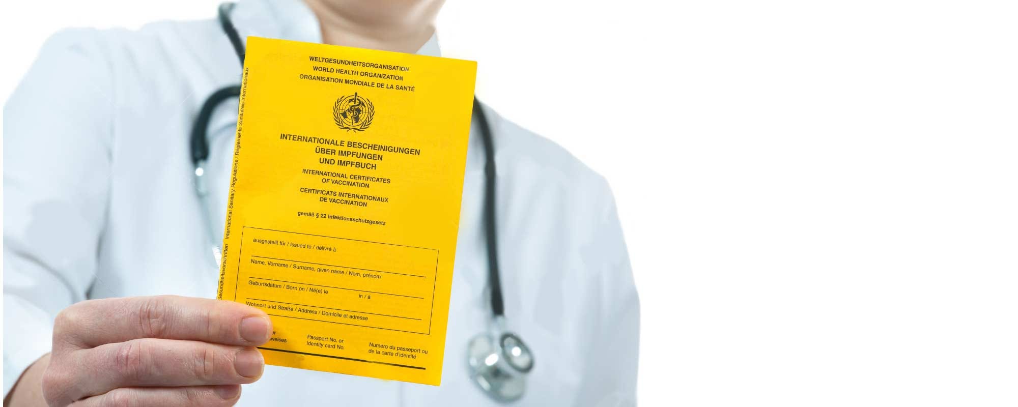 Planning A Trip To Brazil? Do Not Your Yellow Fever