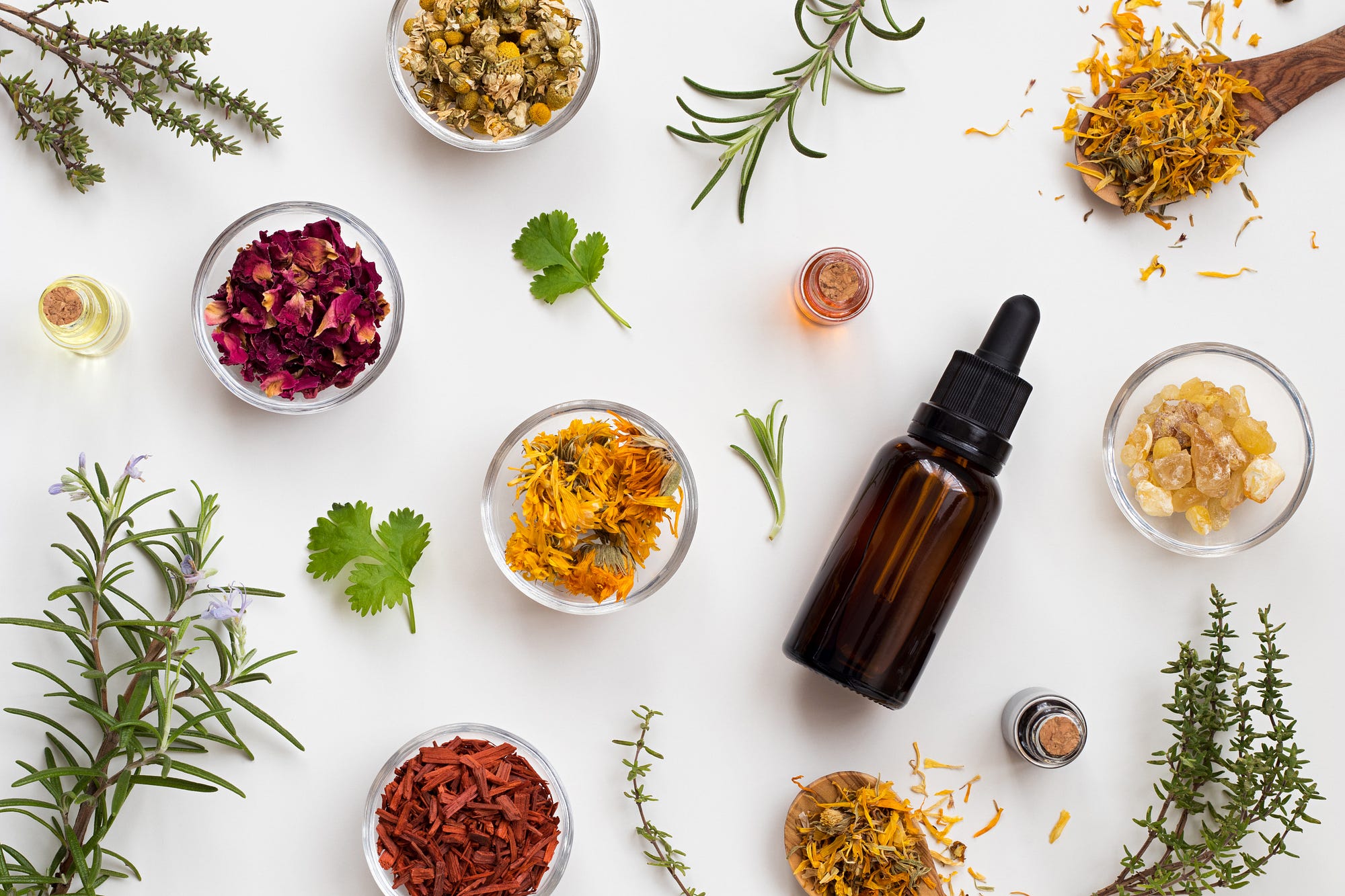 The Science of Aromatherapy. An investigation into scent as a… by
