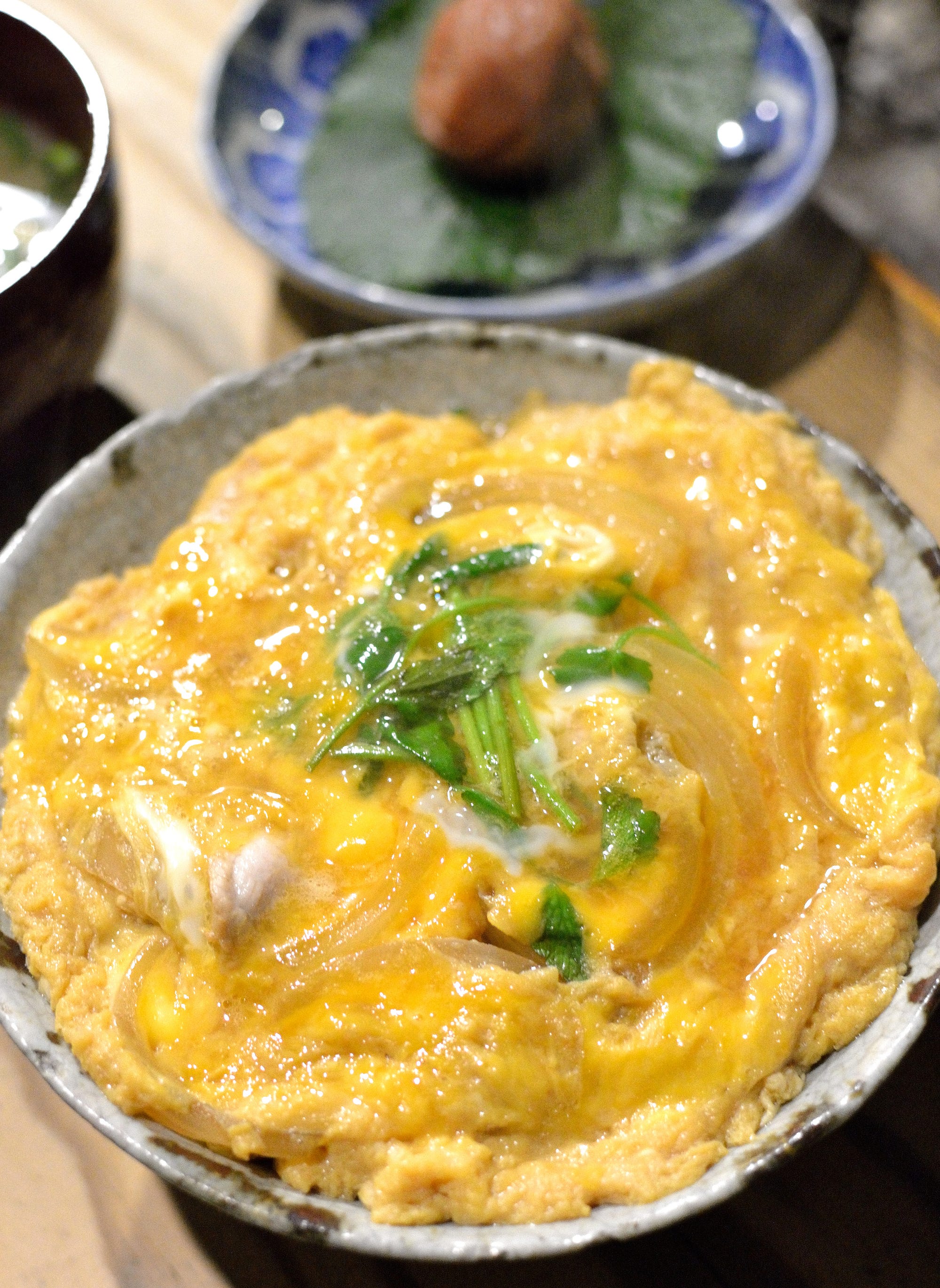 Oyakodon. Oyakodon is a portmanteau of oyako and… by Ikechan