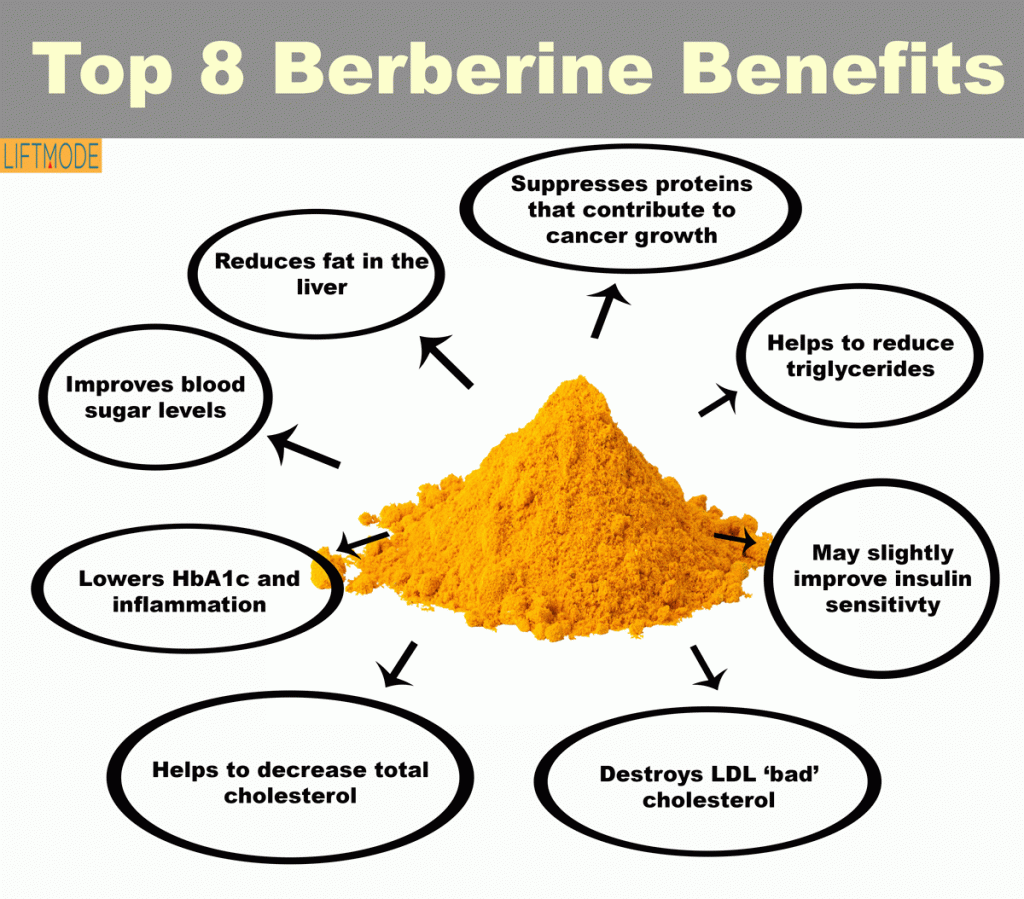Benefits Of Berberine For Weight Loss Weight Loss Wall