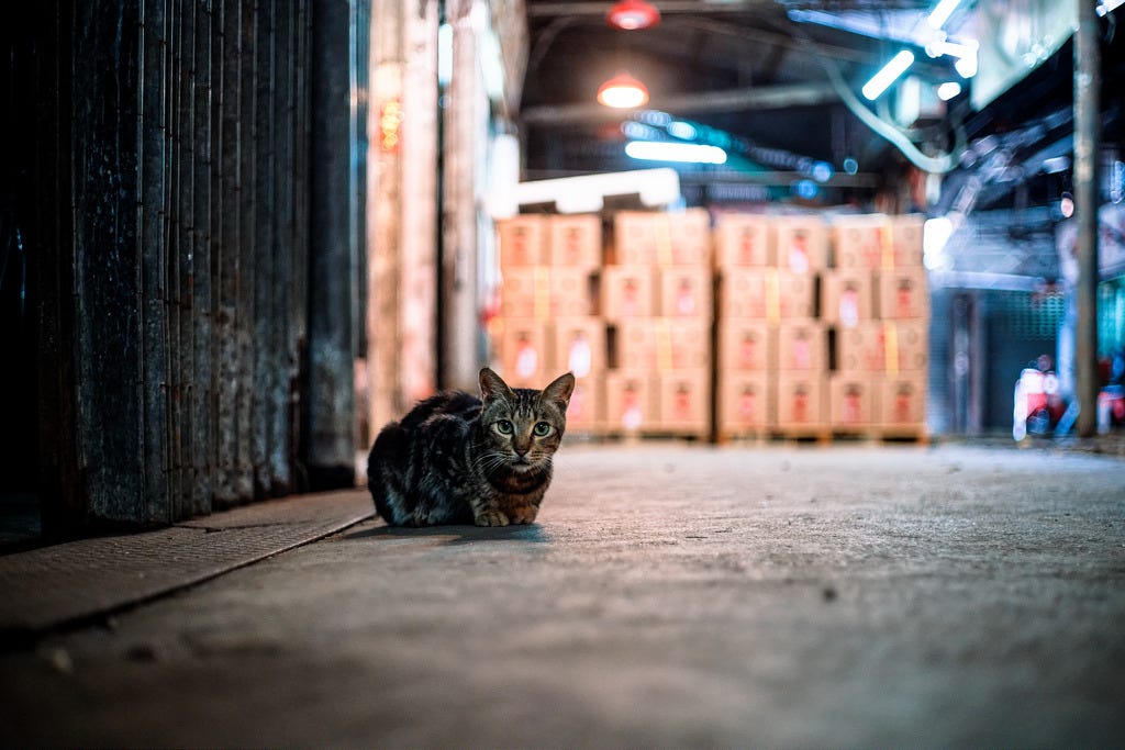 Minolta MD rokkor 45mm f2. The most underrated and lightweight… by LI