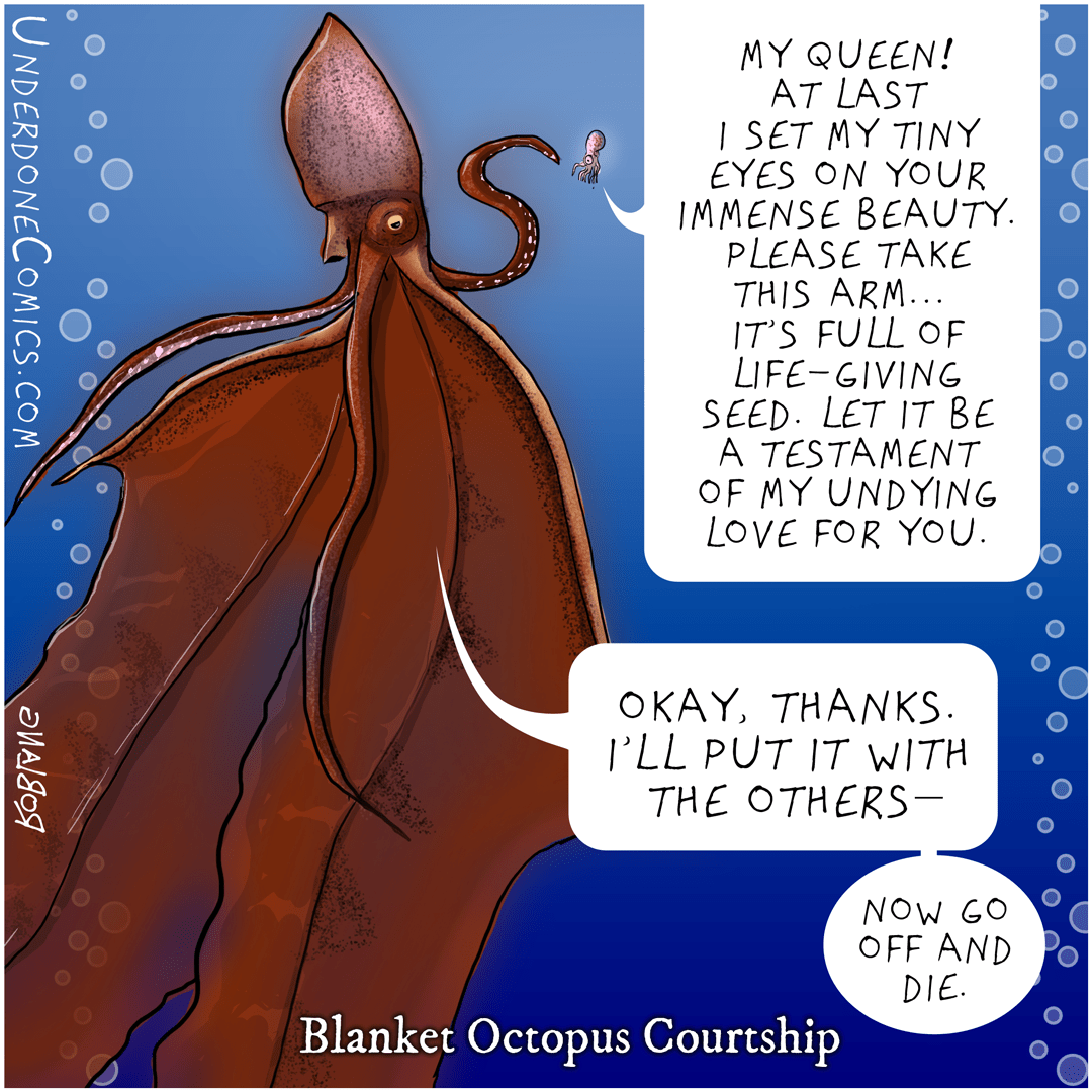 The Love Lives of Octopuses. About a quarter of a century ago, a… by
