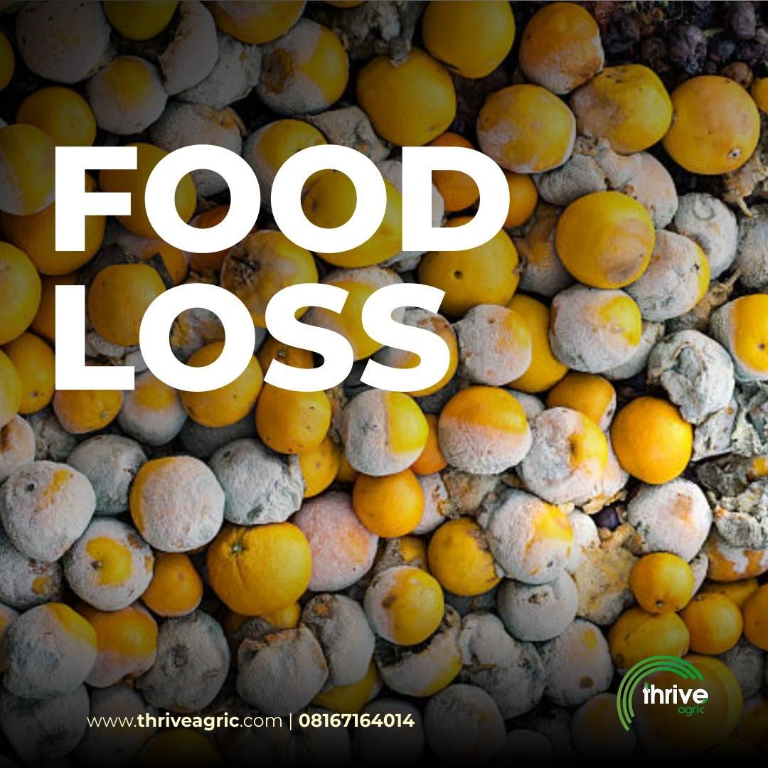 FOOD LOSS. MEANING AND MITIGATION STRATEGIES by Thrive Agric
