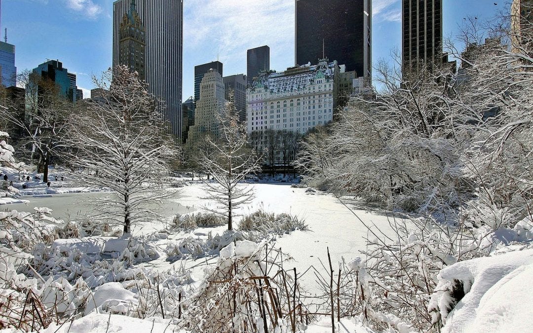 New York City’s Winter Wonderland, Central Park by
