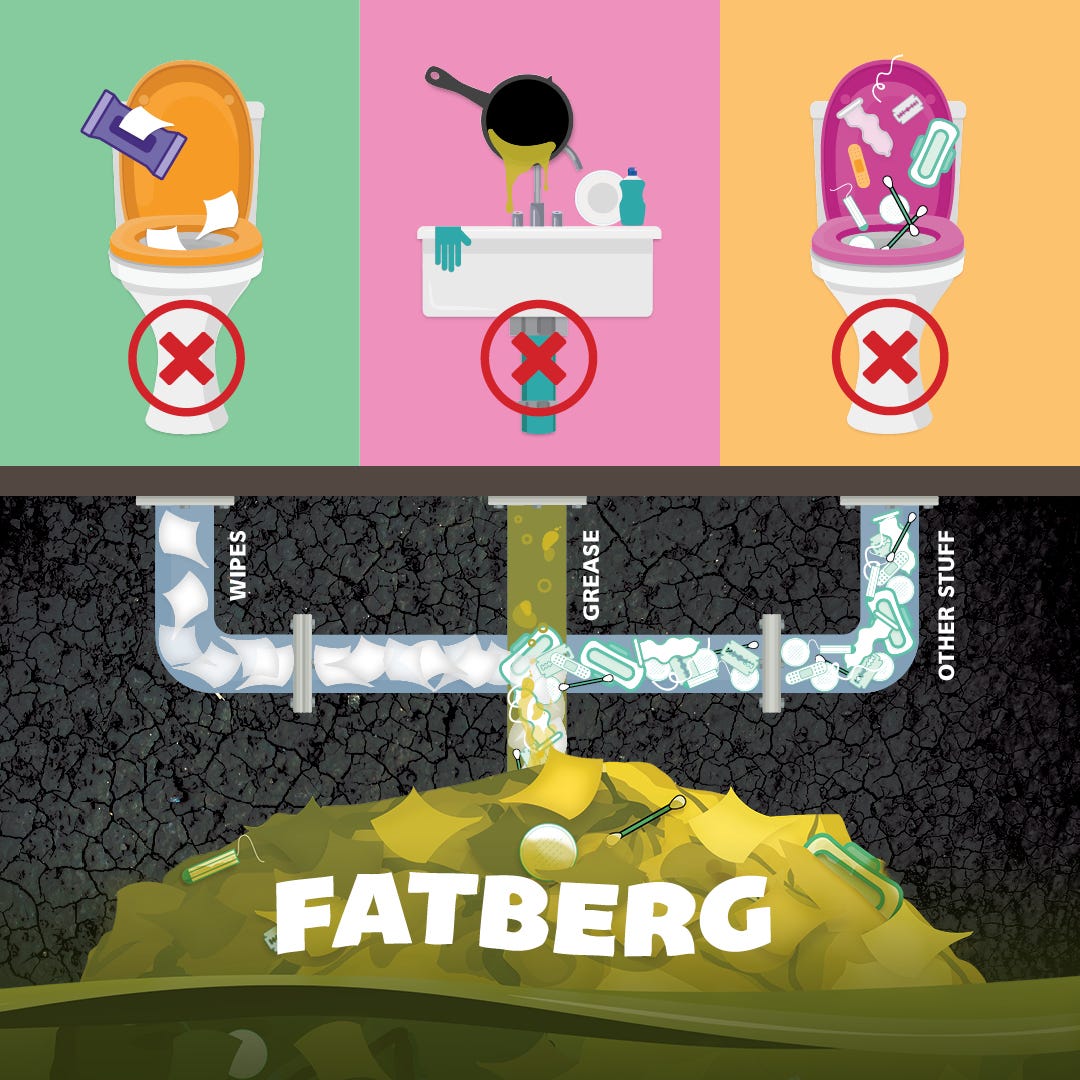 Please, We’re Begging You 10 Things NOT to Flush Down Your Toilet