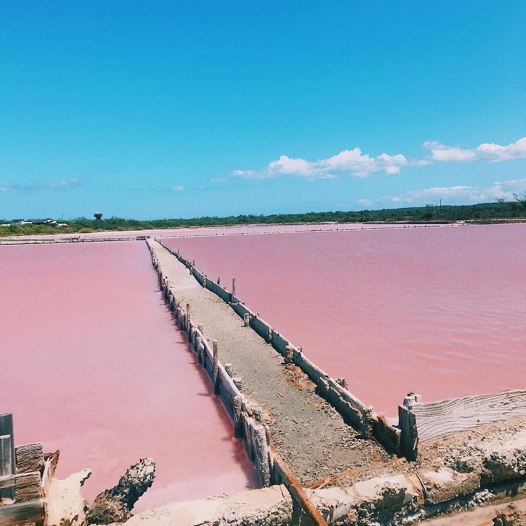 On the Road exploring the PR2 (SOUTH) to Cabo Rojo by VIEWPR Medium