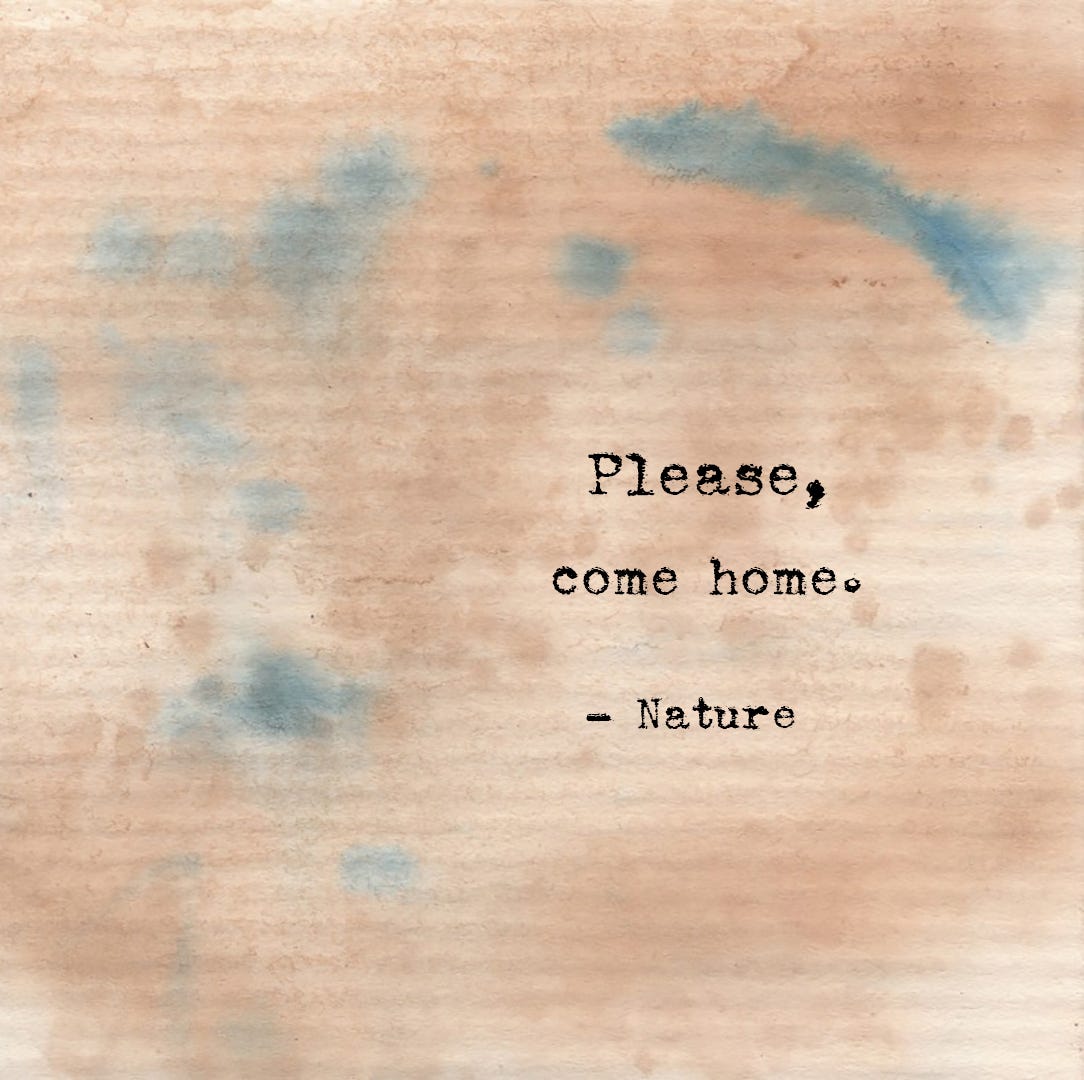 Letters from Earth Week 2. Nature speaks to me in quiet tones… by Christine Ren Medium