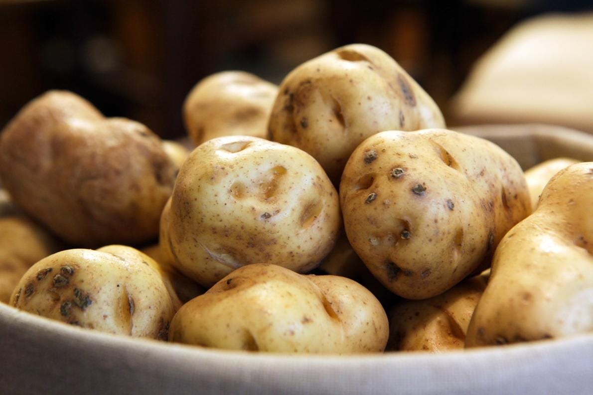 The Irish Potato Famine Wasn’t Caused By A Fungus by Kevin Jackson