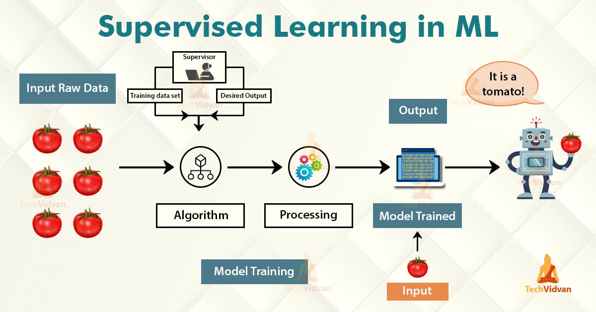 Decision Trees and Random Forests (Building and optimizing.