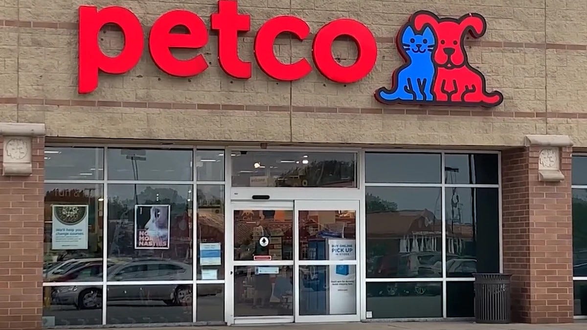Petco NYC Medium