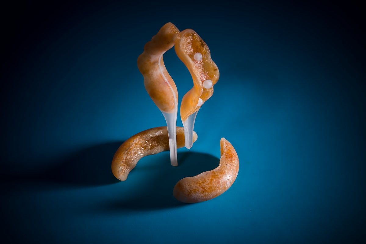 8 Spectacular Speculative Designs That Will Blow Your Mind DeMagSign