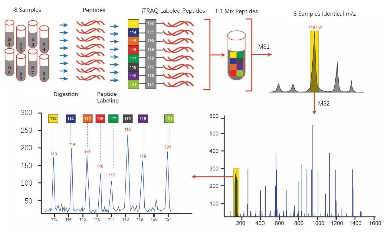 Comparison of Five Commonly Used Quantitative Proteomics Analysis