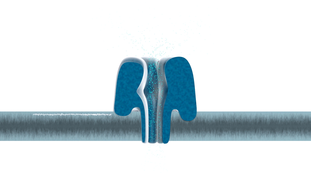 The Gadget that Makes DNA Sequencing Child’s Play by Dr. Sophie