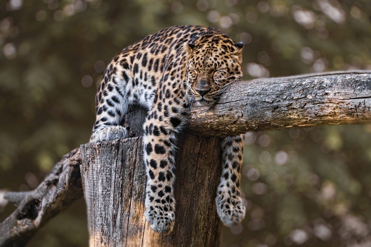 How sleep can help cure your depression James Matthew Alston Medium