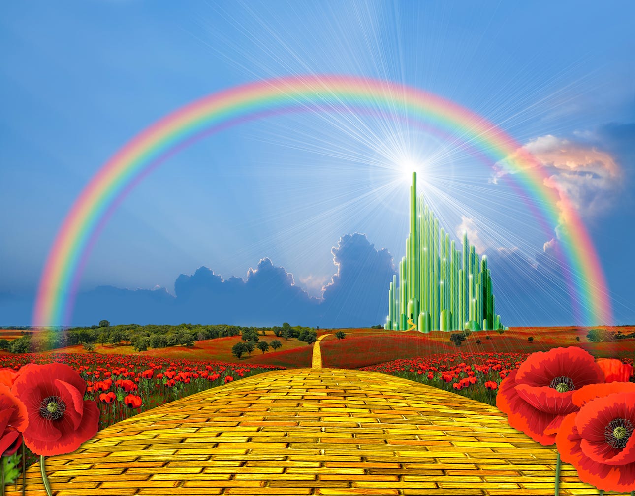 Have You Seen My Yellow Brick Road? by James Finn James Finn The