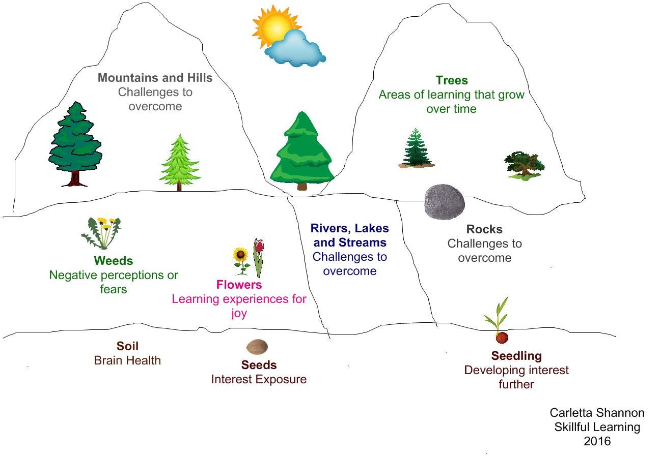 Nature as a metaphor for learning Skillful Learning