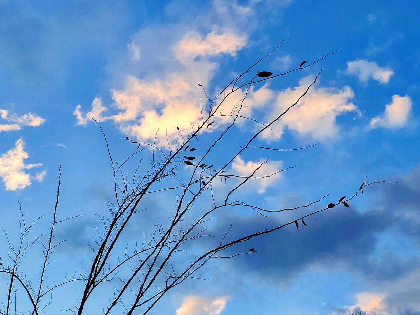 We’re Enough Weeds & Wildflowers Medium