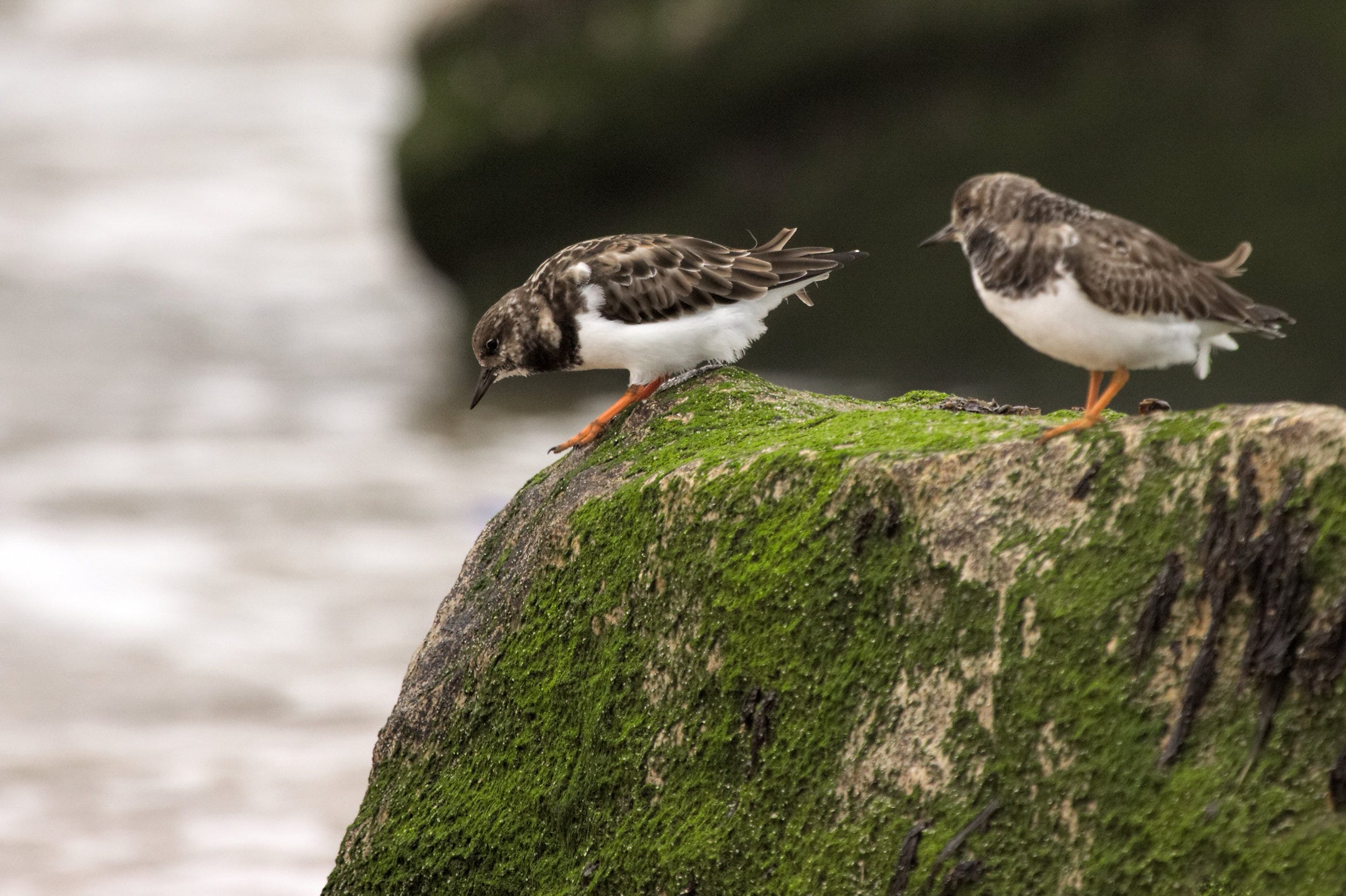 Telling Stories With Your Photos. If you’re not into photographing