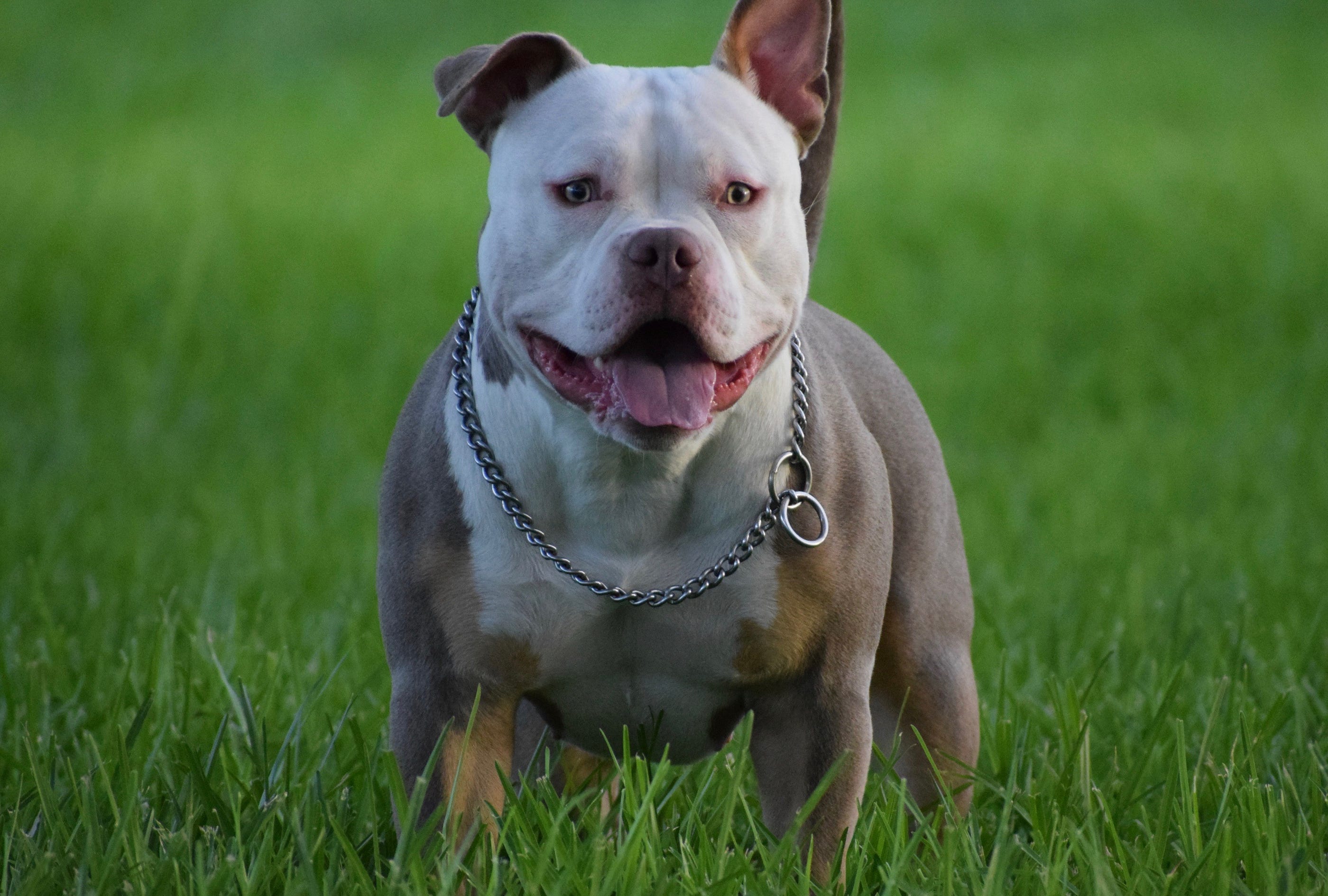 7 FEMALES UNDER 18 MONTHS OLD THAT WILL BLOW YOUR MIND TOP POCKET