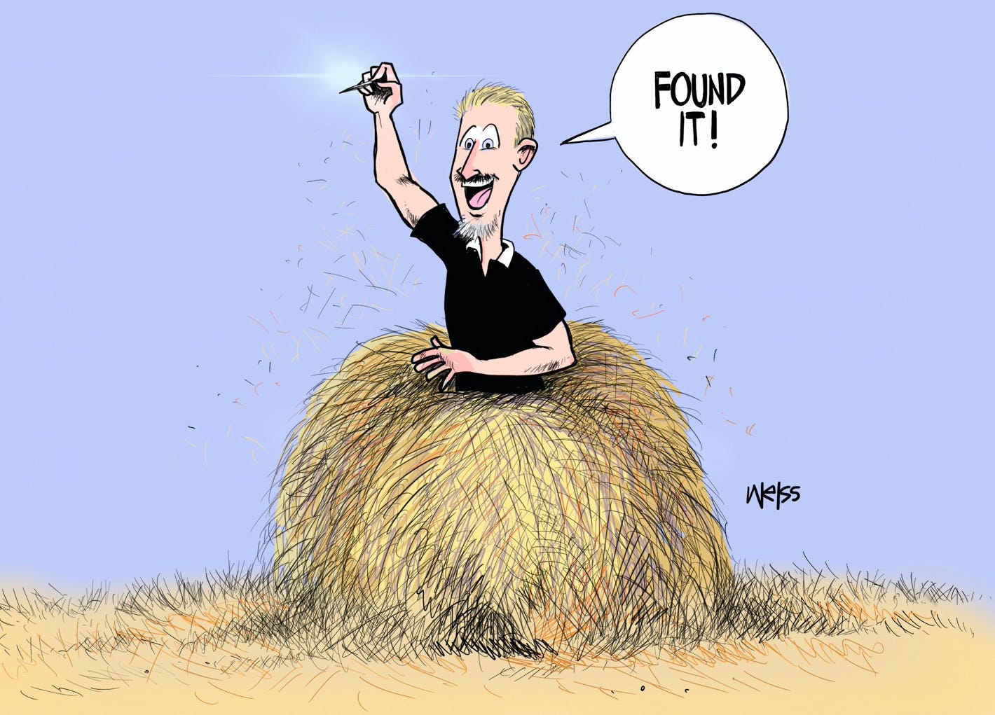 Needle in the haystack