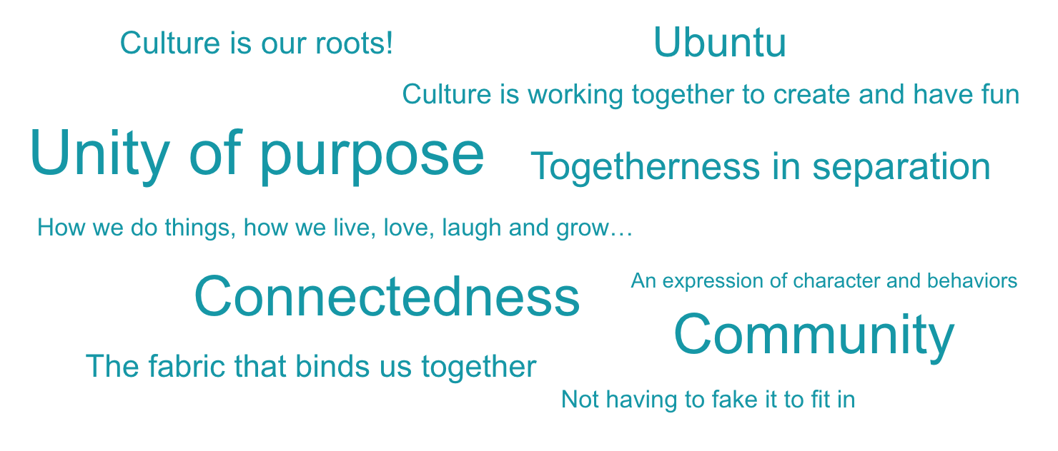 What does culture mean to you?. Culture through the words of our future