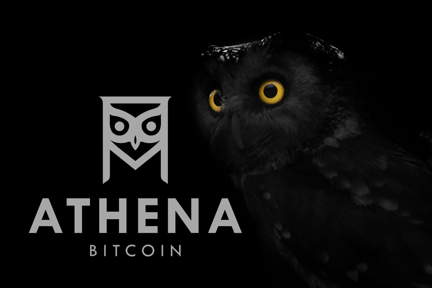 Athena Celebrates Five Years Of Bitcoin & Blockchain Community Building