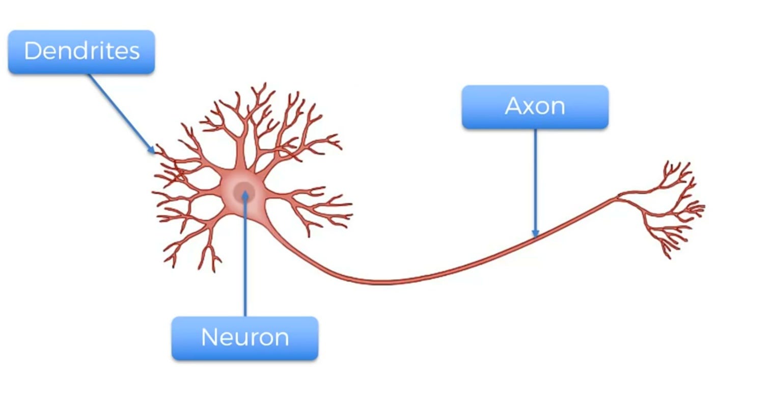 Deep Learning Neuron Mohit Shukla Medium