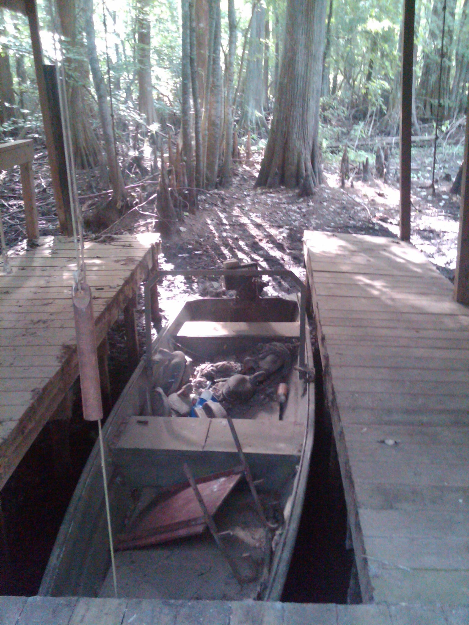 Surveying in an Inhospitable Environment Grassy Lake, Arkansas by