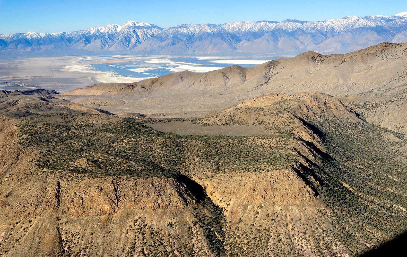 The Secret California Desert Conglomerate Mesa BLMWild Medium