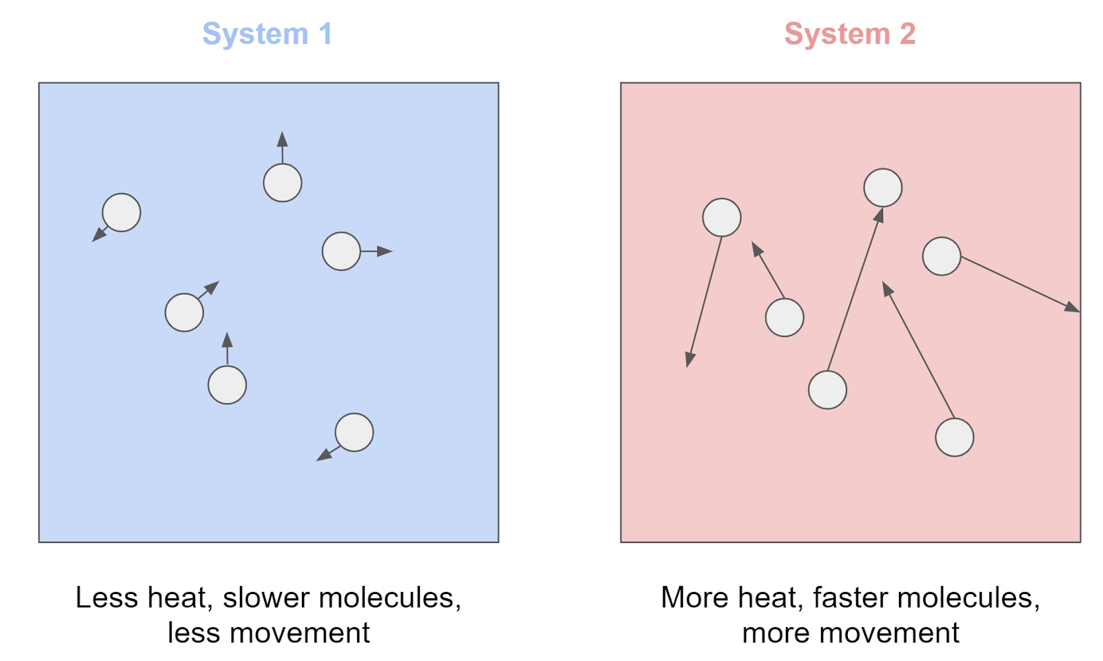 What is entropy? An exploration of life, time, and immortality.